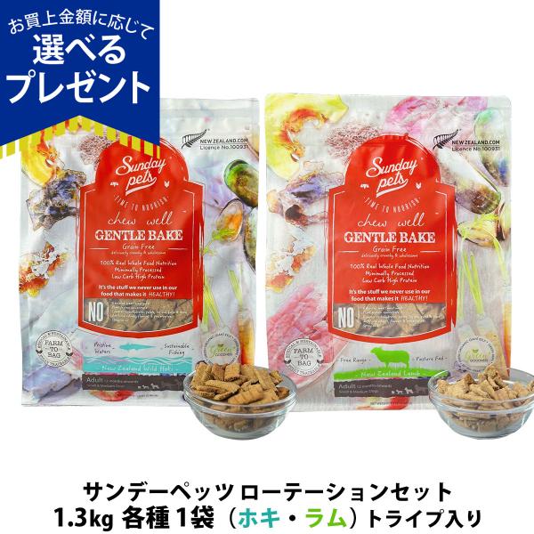 (選べるプレゼント付き)サンデーペッツ ローテーションセット  ワイルドホキ ウィズトライプ＋ラム ...