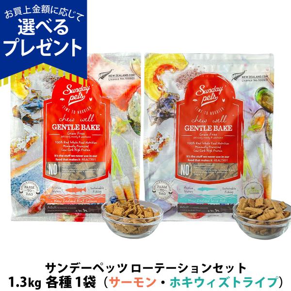 (選べるプレゼント付き)サンデーペッツ ローテーションセット キングサーモン＋ワイルドホキ ウィズト...