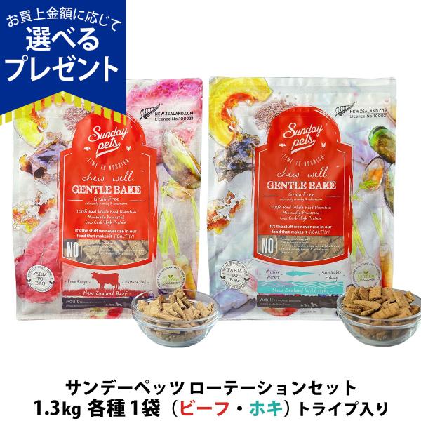 (選べるプレゼント付き)サンデーペッツ ローテーションセット ビーフ ウィズトライプ＋ワイルドホキ ...