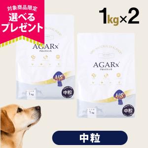 パンフェノン (選べるプレゼント付き)パンフェノン120粒 サプリ 犬 猫