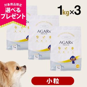 AGARx I/S (選べるプレゼント付き) アーテミス アガリクスI/S 小粒 6.8