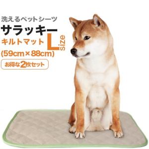 ペットシーツ専門店 エイクス - Yahoo!ショッピング