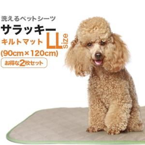 ペットシーツ専門店 エイクス - Yahoo!ショッピング