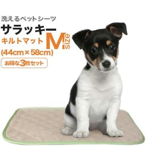 ペットシーツ専門店 エイクス - Yahoo!ショッピング