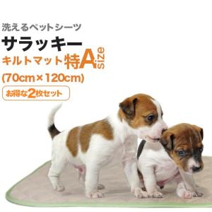 ペットシーツ専門店 エイクス - Yahoo!ショッピング