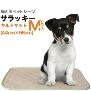ペットシーツ専門店 エイクス - Yahoo!ショッピング