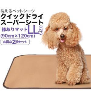 ペットシーツ専門店 エイクス - Yahoo!ショッピング