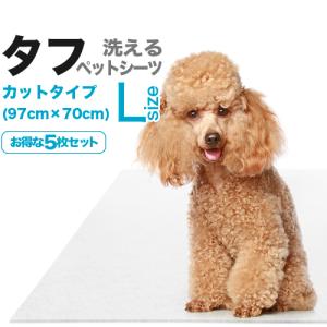 洗えるペットシーツ「ワンダーマット・サラッキー」Sサイズ（29×43cm