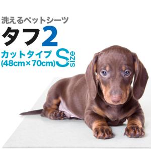 洗えるペットシーツ「タフ２」 Ｓサイズ（48×70cm／吸水約400cc）