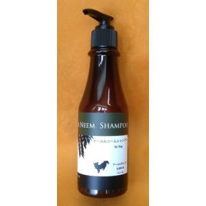 アジル]オイリーコントロール シャンプー（300ml）アクティブ
