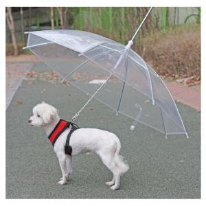 パピア犬用傘付きリード PUPPIA パピア 犬 犬用 ペット ドッグ ペット ペットグッズ 雨 雨具｜dogskip