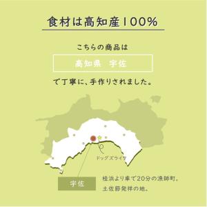 焼きかつお 猫 1本入り 高知産 かつお カツ...の詳細画像4