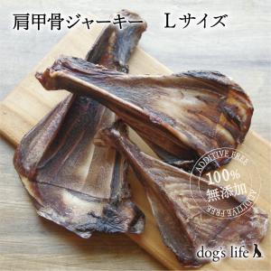 犬用 おやつ 鹿の骨 無添加 肩甲骨ジャーキー（L）８１ｇ〜１００ｇ  国産 アレルギー対応 数量限定｜dogslife