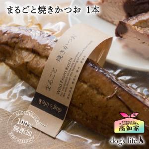 dog's life（ドッグズライフ） 猫 まるごと焼きかつお 1本(約200g