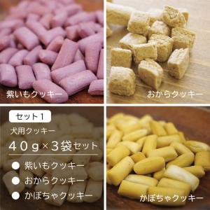 犬用 おやつ ギフト ドッグズライフ オリジナ...の詳細画像1