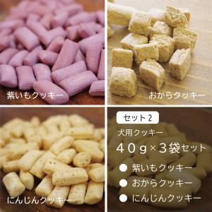 犬用 おやつ ギフト ドッグズライフ オリジナ...の詳細画像2