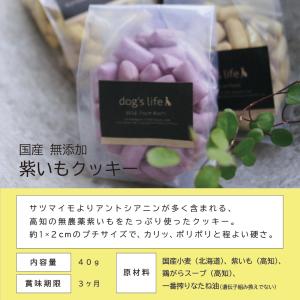 犬用 おやつ ギフト ドッグズライフ オリジナ...の詳細画像3