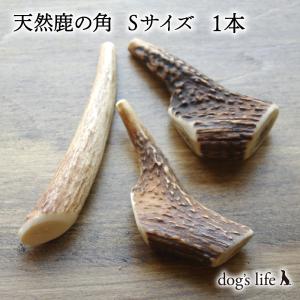 dog's life（ドッグズライフ） 犬用天然木のおもちゃ 自然木タイプ