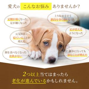 鹿肉 ドッグフード 国産 無添加 ドッグスタン...の詳細画像1