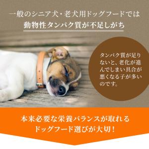 鹿肉 ドッグフード 国産 無添加 ドッグスタン...の詳細画像2