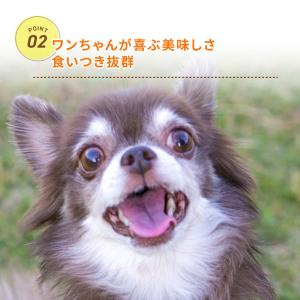 犬用 おやつ 国産 無添加 鹿肉 ジャーキー ...の詳細画像2