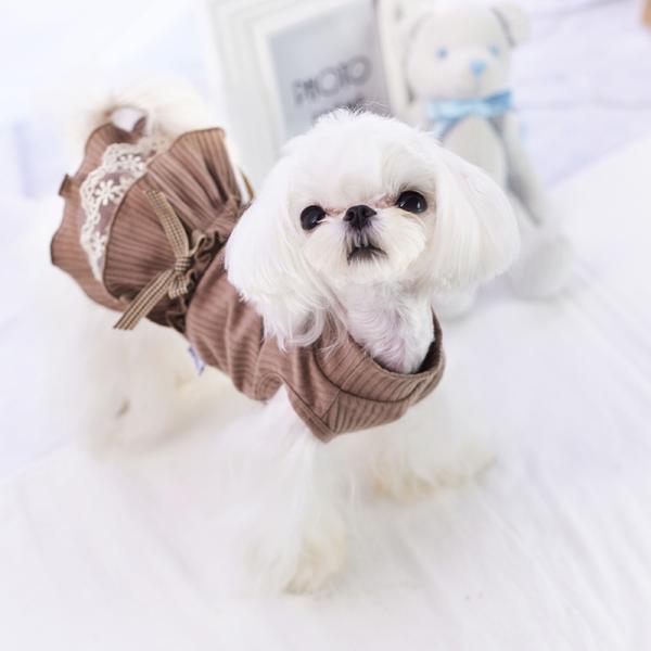 【メール便１点送料無料！】犬服 小型犬 アディールワンピース かわいい　ハート　デニム　フレア　姫系...