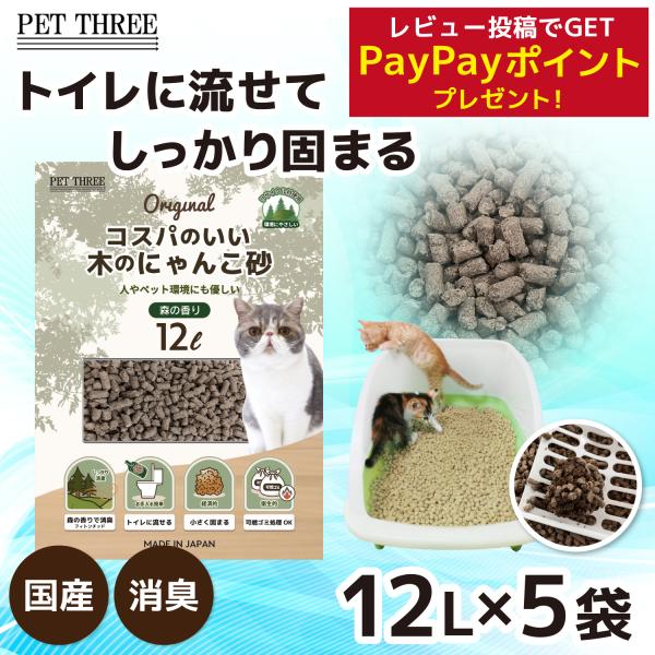 【レビュー投稿でPayPayポイントGET！】　【 PET THREE 】 コスパのいい_木のにゃん...