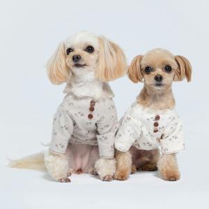 セレブなオーダーメイド犬服ミントブルードレス : オーダーメイド