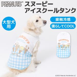 セレブなオーダーメイド犬服ミントブルードレス : オーダーメイド