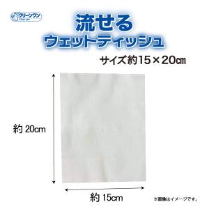 シーズイシハラ クリーンワン 流せるウェットテ...の詳細画像1