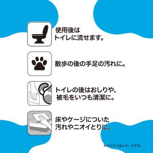 シーズイシハラ クリーンワン 流せるウェットテ...の詳細画像3