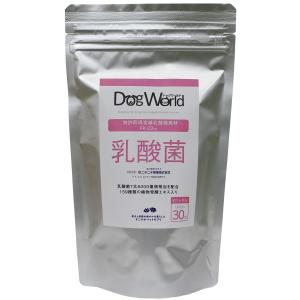 乳酸菌サプリメント 159種類の食物発酵エキス配合 30包［賞味：2026/3］