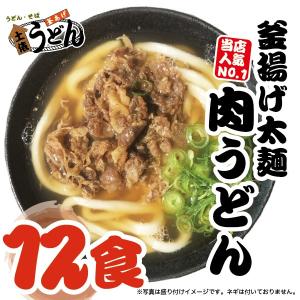 釜揚げ太麺肉うどん　冷凍１２食セット　【土俵うどん...