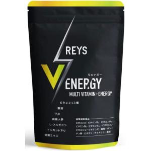 REYS レイズ プレミアムバーナー 120粒 約 30回分 ダイエット