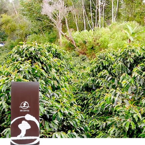 ゴールデンマンデリン※