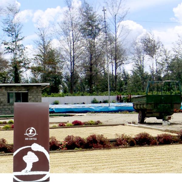 パプアニューギニア　シグリ農園※