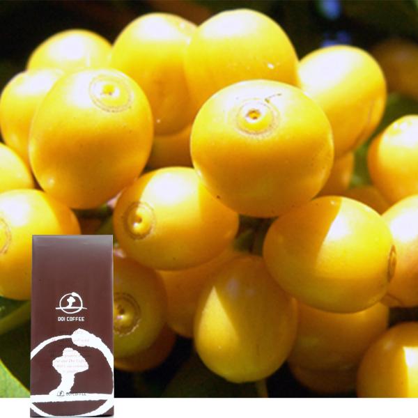 ブラジルアマレロ（ボンジャルディン農園）※