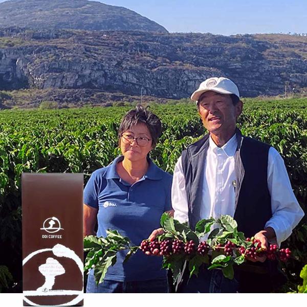 ブラジル　バレ・ド・クリスタル農園※