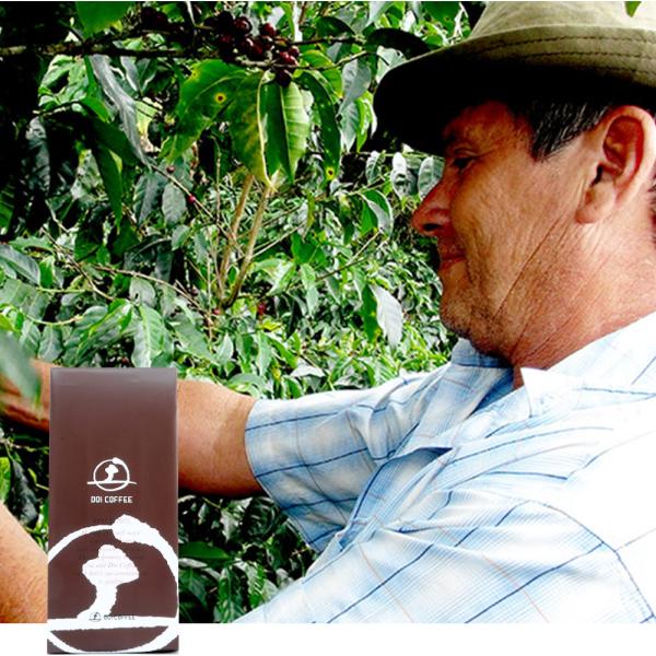 コスタリカ　エル・ペドレガル農園※