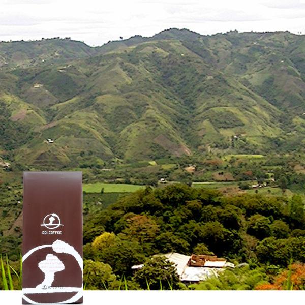 コロンビア　サン・アグスティン村（アソガート組合ロット）※