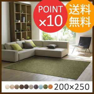 シャギーラグ　ニューツイスティ　スミトロン シャギー ラグ　ニューツイスティー　200×250cm　スミノエ