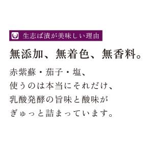 【2026年 新漬】漬物 京都 土井の 生志ば...の詳細画像1