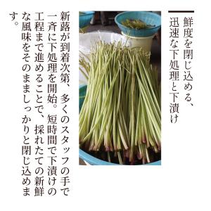 漬物 京都 ぶぶ漬しぐれ LP 京漬物 90g...の詳細画像2