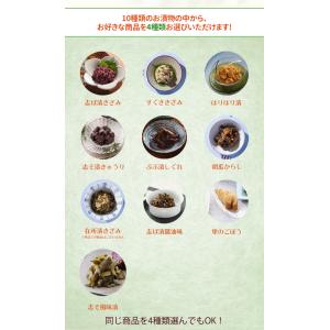 送料無料 選べる4点セット NP5 メール便 ...の詳細画像1