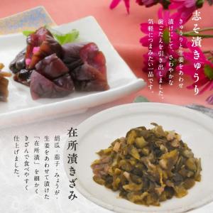 漬物 京都 送料込み 京漬物詰合せ (H19)...の詳細画像3