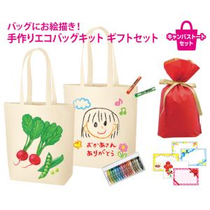 母の日のプレゼント】 お絵かきできる 手作りエコバッグキット 送料