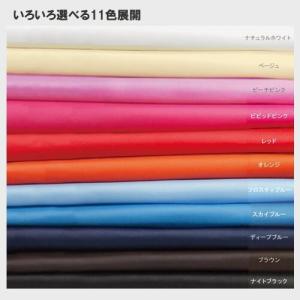 100枚セット「不織布スタンダードバッグ TR...の詳細画像2