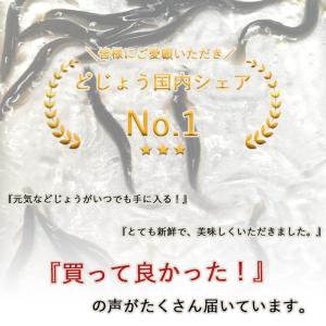 活 どじょう 500g 中 (約13cm 約6...の詳細画像2