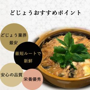 活 どじょう 500g 中 (約13cm 約6...の詳細画像5