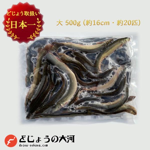 冷凍 餌 どじょう 500g 大 (約16cm 約20匹) エサ 釣り えさ 熱帯魚 古代魚 ドジョ...